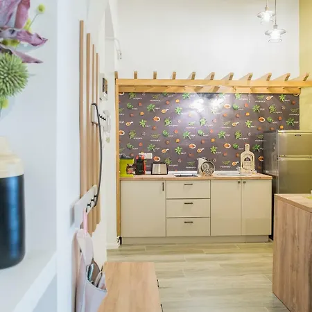 Light 公寓 蒂米什瓦拉